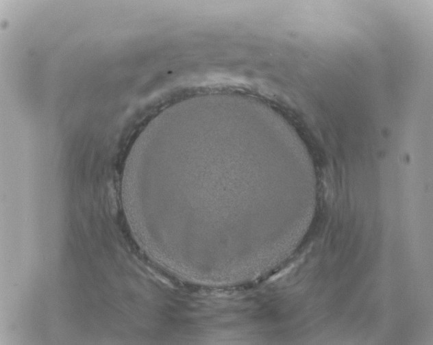 X0000070411493200606302023