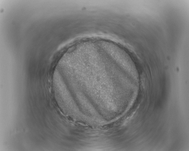 X0000070411494200606302023