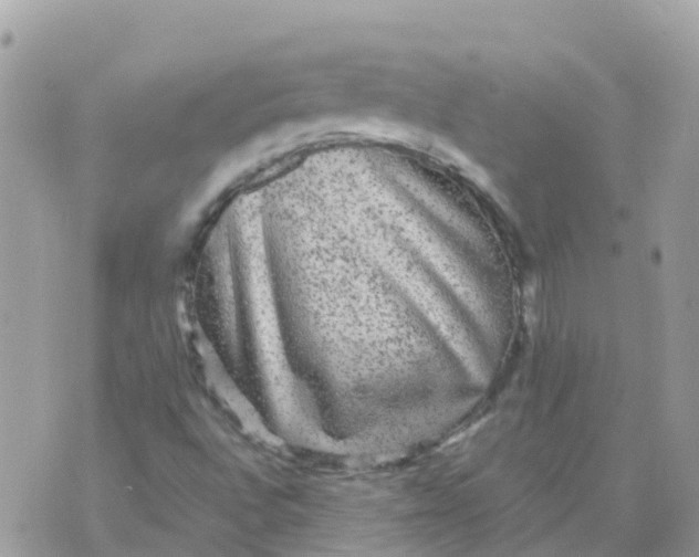 X0000070411496200606302023