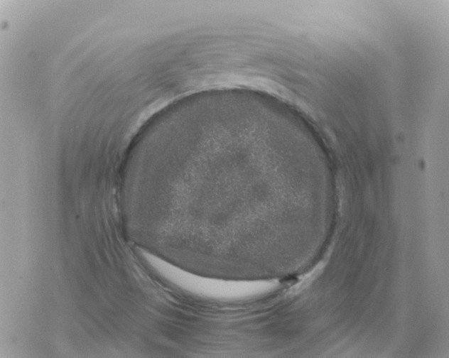 X0000070411497200606302023