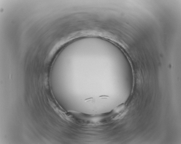 X0000070411499200606302023