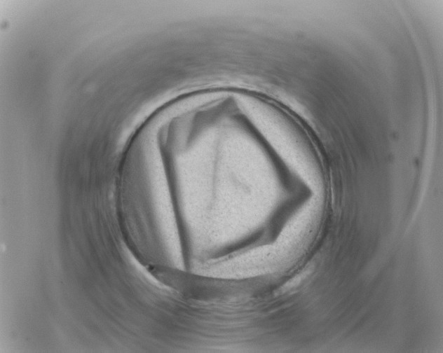 X0000070411500200606302023