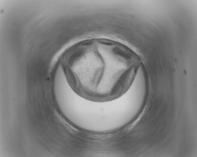 X0000070411502200606302023