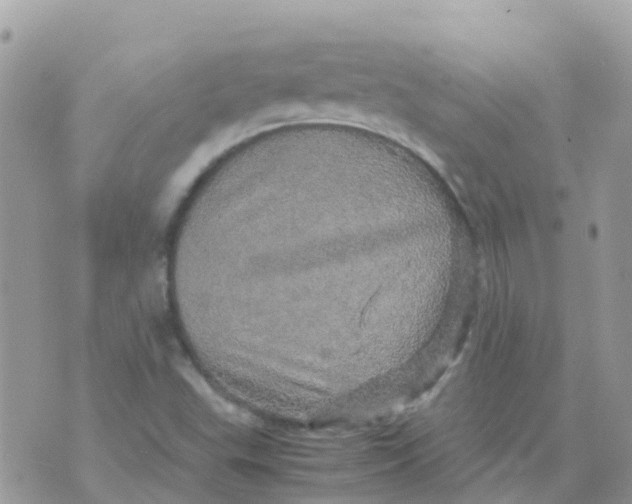 X0000070411503200606302023