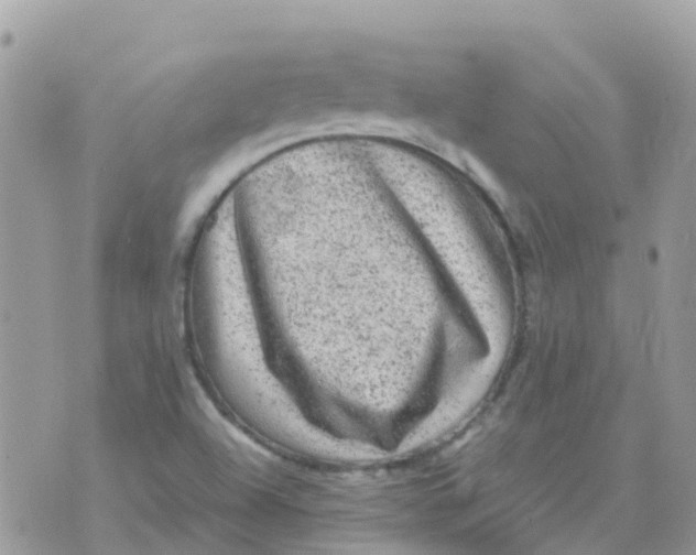 X0000070411504200606302023