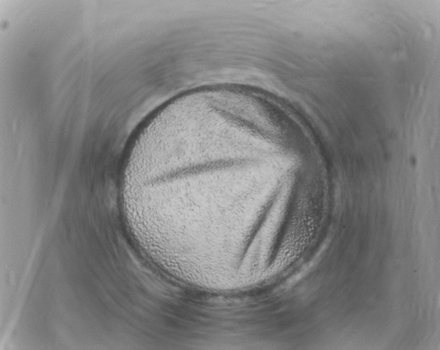 X0000070411505200606302023