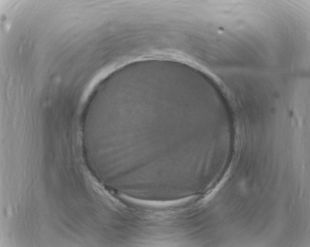 X0000070411506200606302023