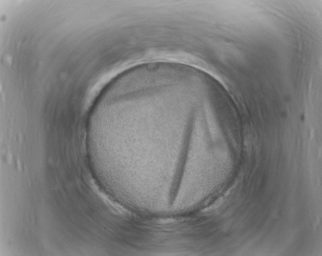 X0000070411507200606302023