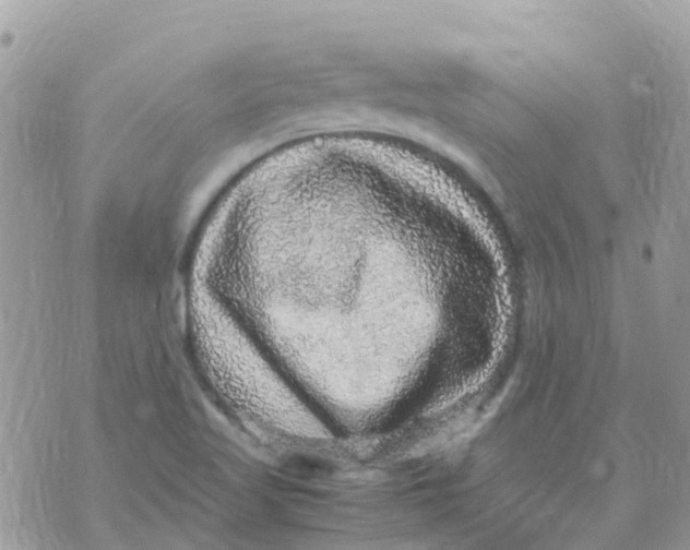 X0000070411509200606302023