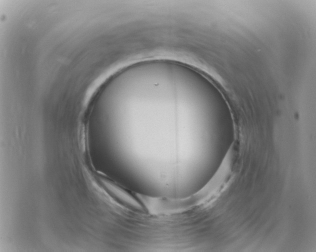 X0000070411510200606302023