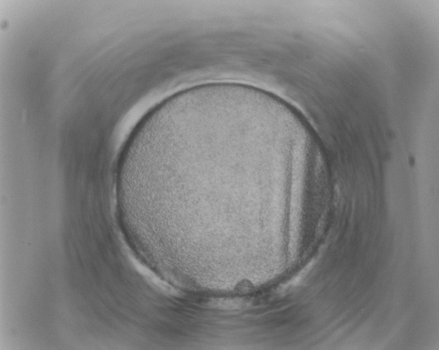 X0000070411511200606302023