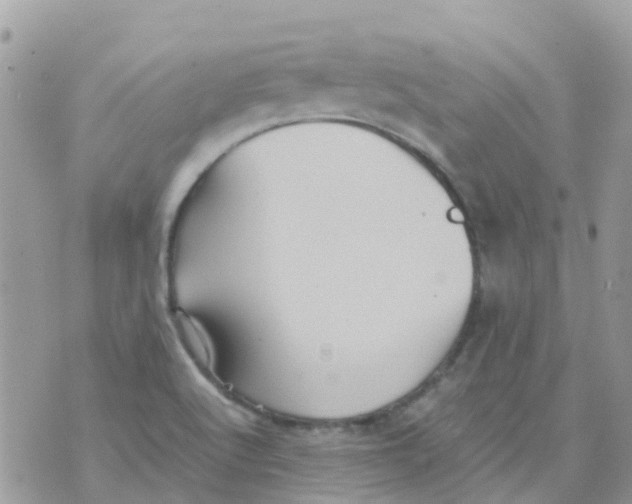 X0000070411512200606302023