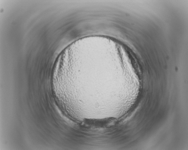 X0000070411513200606302023