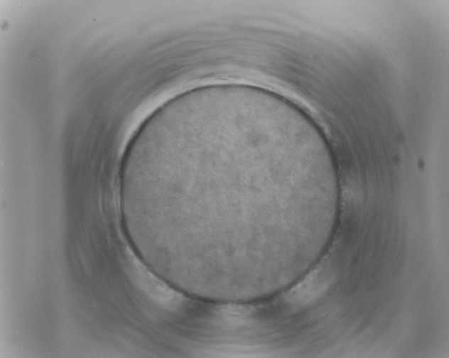 X0000070411514200606302023