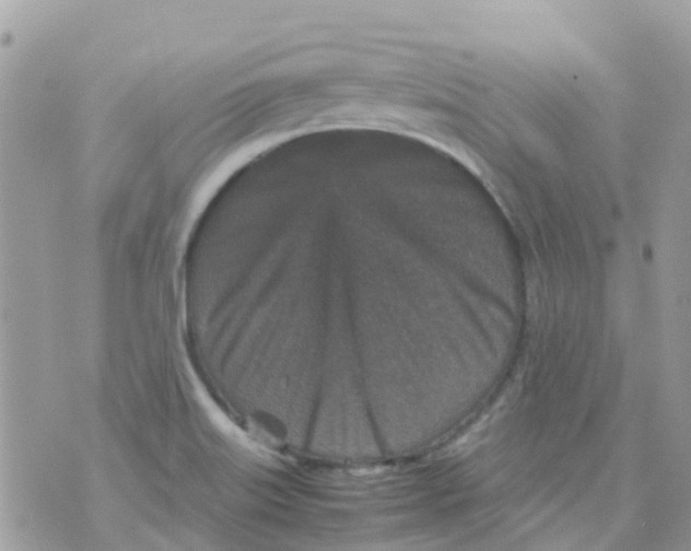 X0000070411515200606302023