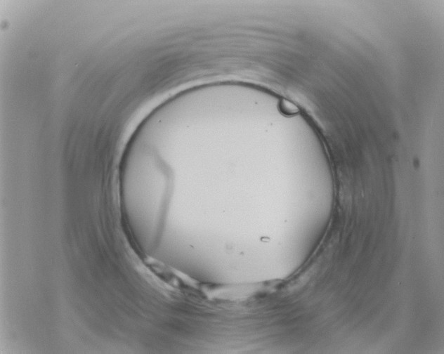 X0000070411516200606302023