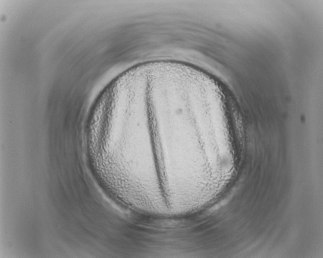 X0000070411517200606302023