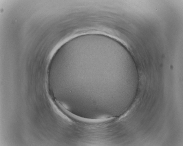 X0000070411518200606302023