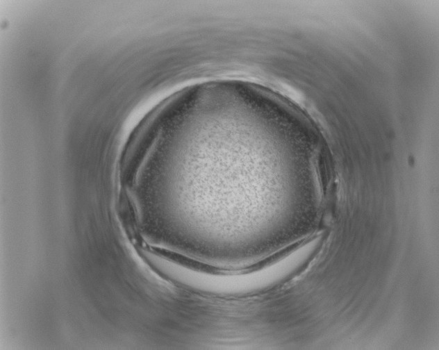 X0000070411520200606302023