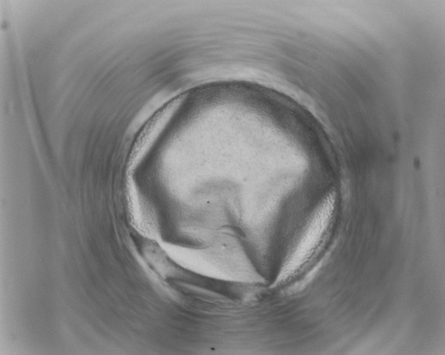 X0000070411521200606302023