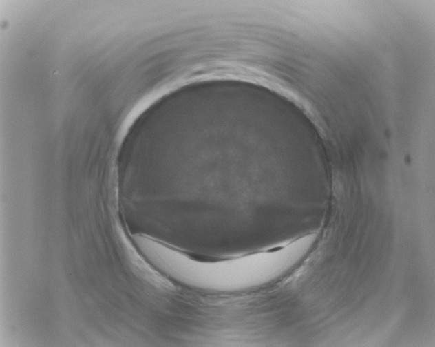 X0000070411522200606302023