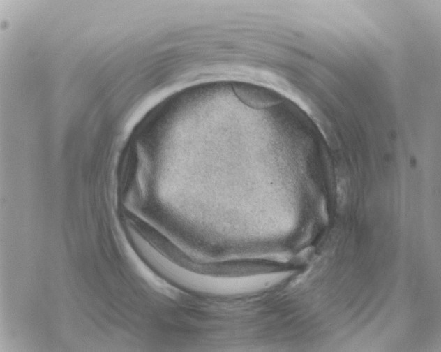 X0000070411523200606302023