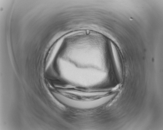 X0000070411525200606302023