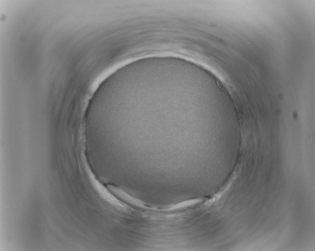 X0000070411526200606302023