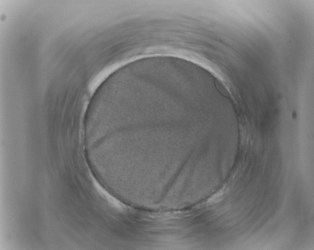 X0000070411527200606302023