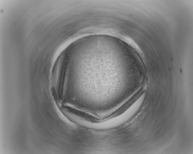 X0000070411528200606302023