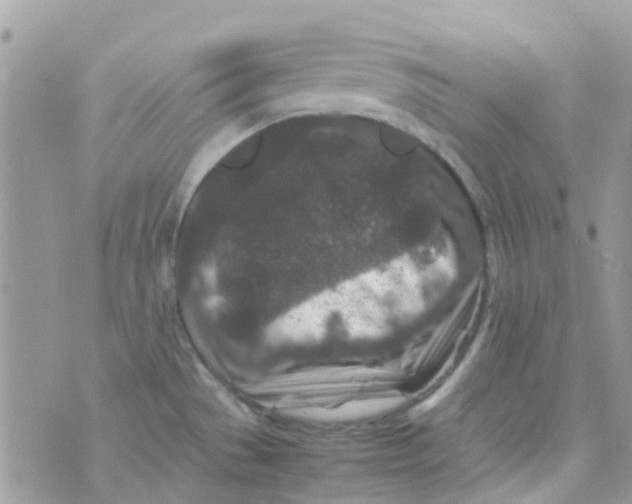 X0000070411529200606302023