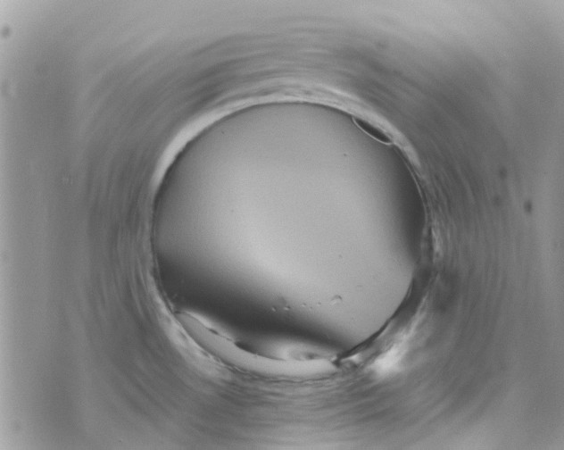 X0000070411530200606302023