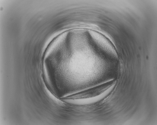 X0000070411531200606302024