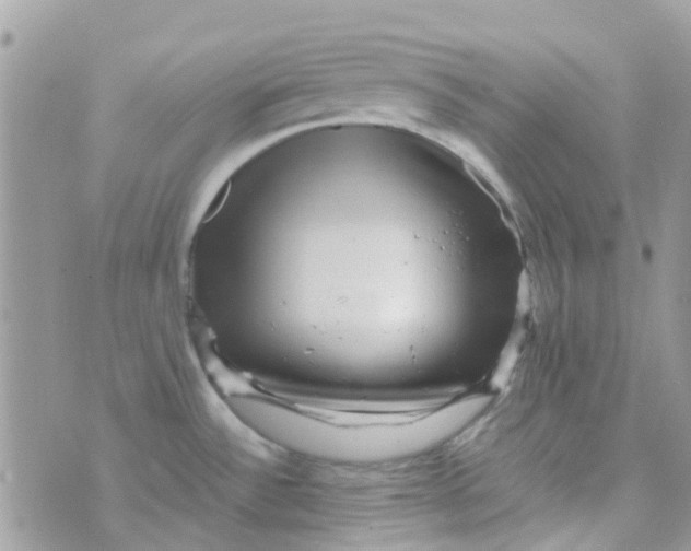 X0000070411532200606302024