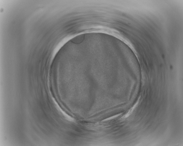 X0000070411533200606302024