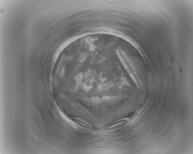 X0000070411535200606302024