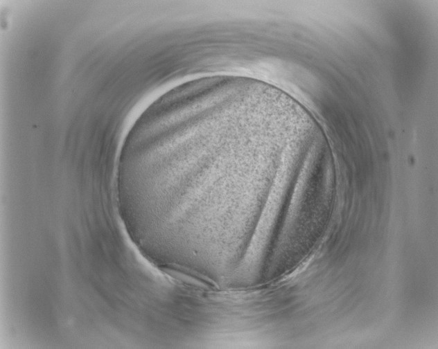 X0000070411536200606302024