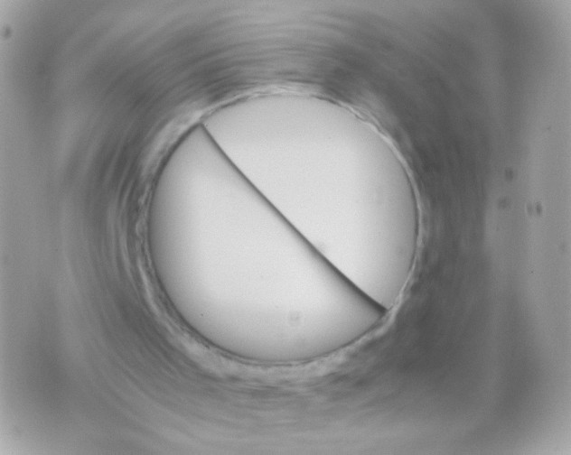 X0000070410001200607072321