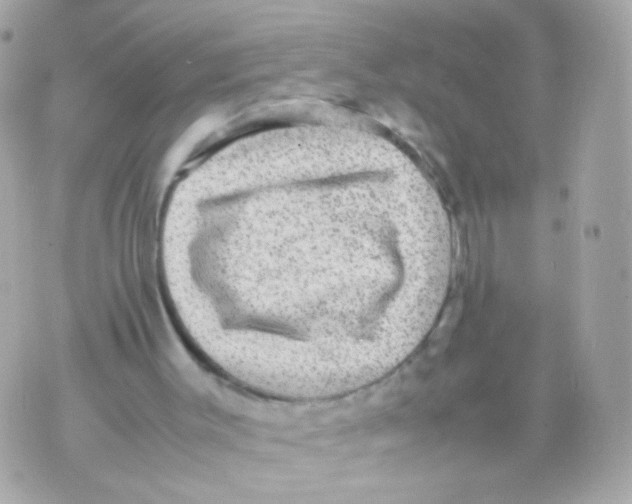 X0000070410003200607072321