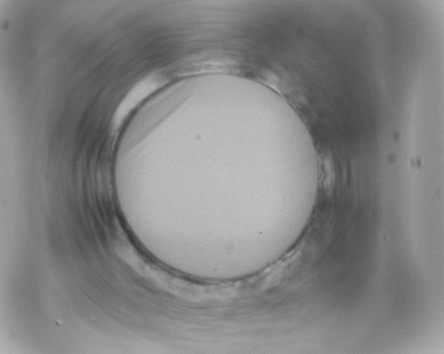 X0000070410004200607072321