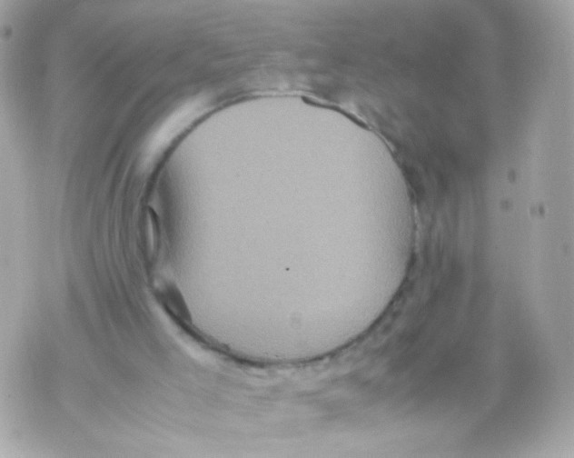 X0000070410005200607072321