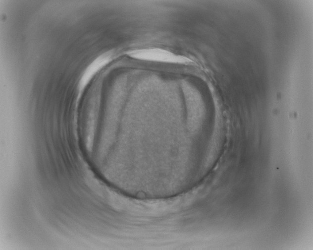 X0000070410006200607072321