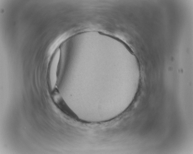 X0000070410007200607072321