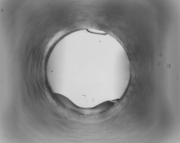 X0000070410008200607072321