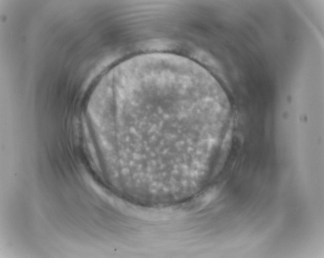 X0000070410012200607072321