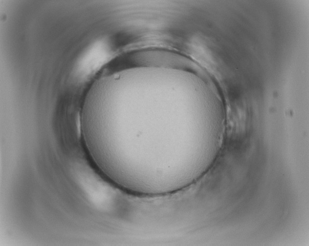 X0000070410013200607072321