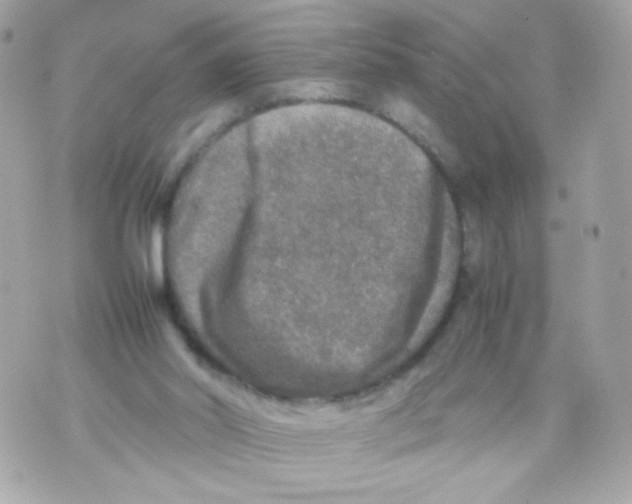 X0000070410014200607072321