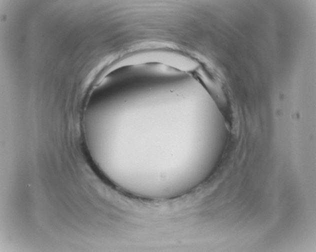 X0000070410015200607072321