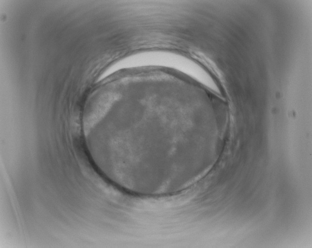 X0000070410017200607072321