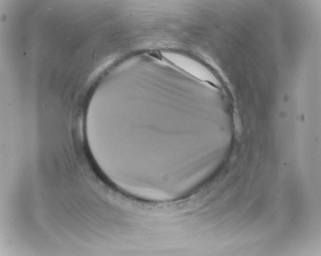 X0000070410019200607072321